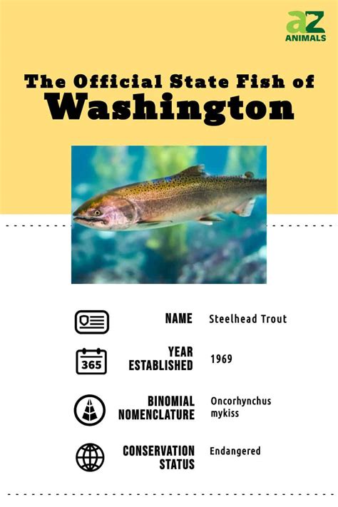 washington state fishing news.